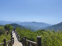 -大岭沟猕猴桃谷风景区