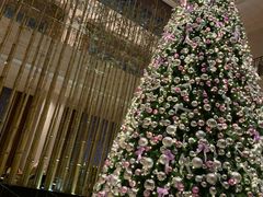 -四季酒店·空中花园 Aria on 9