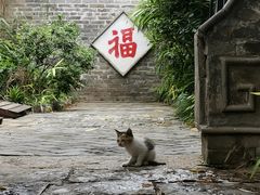 -天朝元辅-徐州民俗博物馆