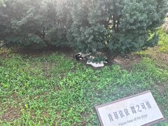 -张学良旧居陈列馆