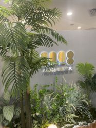 -八佰伴8008星级形象店