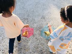 -前小桔亲子创意农场·草莓采摘·露营烧烤