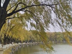 -二一九公园