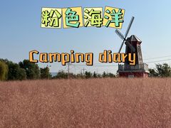 -羊亭河湿地公园