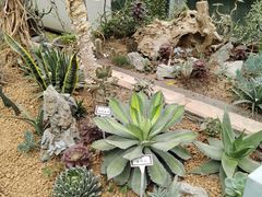 -郑州植物园