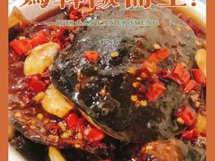 铁头甲鱼仔-铁头烧菜馆(立新路店)