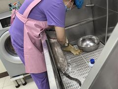 -北京观赏动物医院·24小时大型综合·猫专科·异宠专科