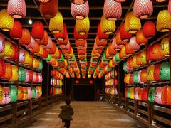-渔寮风景区