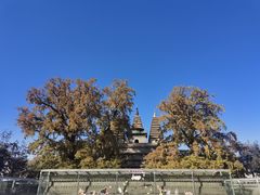 -北京石刻艺术博物馆(五塔寺)