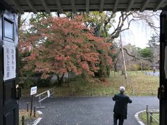 -醍醐寺