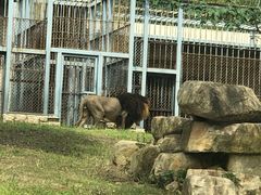 -上方山森林动物世界
