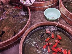 -中环花鸟鱼虫市场
