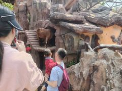 -长鹿旅游休博园