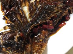 -林之六八·6886大连老菜馆