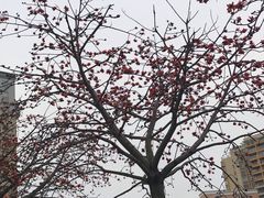 -黄河时装城(虎门店)