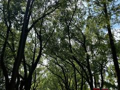 -苏州大学(天赐庄校区)