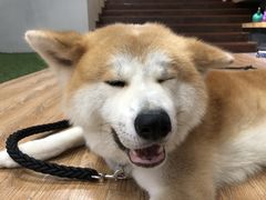 -YCHL Studios健身工作室(市二宫店)