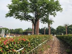 -上海月湖雕塑公园
