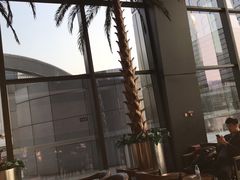 -星巴克(北京新辰里亚运村店)