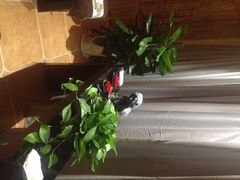 北纬37°spa美容养生会所-北纬37°SPA养身会馆(湖西店)