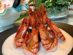 -同庆楼(花园店)