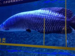 -成都浩海立方海洋公园