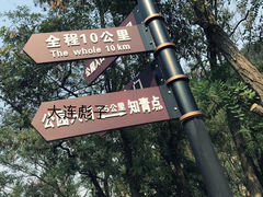 -金龙寺国家森林公园