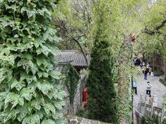 -蓬莱阁景区