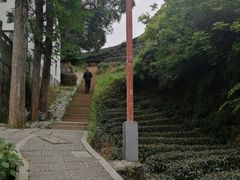 -西湖风景区十里琅珰-五云山