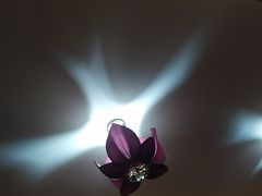 -火燒雲傣家菜(鼓楼店)