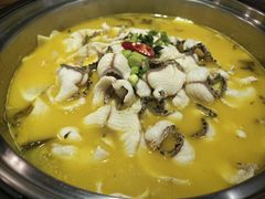 -严厨老坛酸菜鱼(金鹰店)