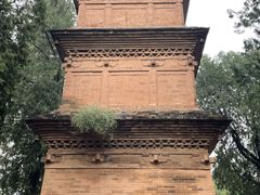 -兴教寺