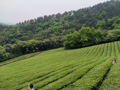 -敬亭山风景名胜区