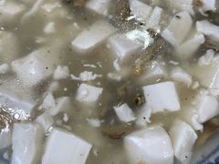 蚌肉豆腐-洞天食府(北大街店)