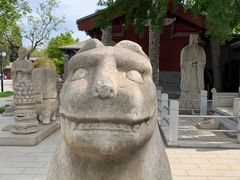 -北京石刻艺术博物馆(五塔寺)