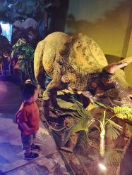 -恐龙探索乐园(磁器口店)