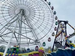 -洋湖国家湿地公园