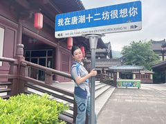 -大唐贡茶院