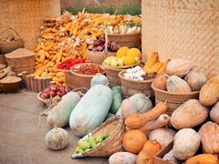 -中国天府农业博览园