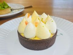 杨枝甘露挞-猫里有甜