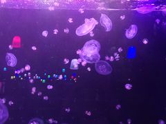 -欧亚达商业广场(红桥店)