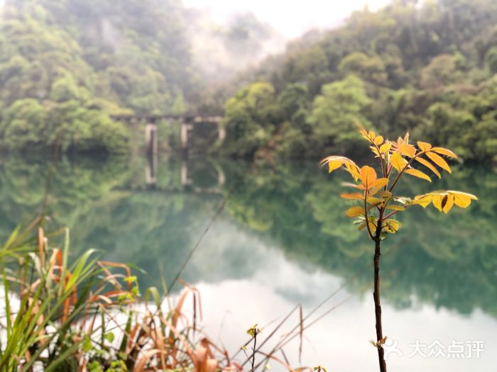 东江湖旅游区图片
