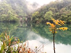 -东江湖旅游区