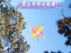 -北京西山国家森林公园