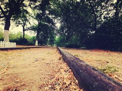 -永定河休闲森林公园