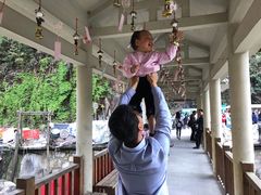 -九龙江国家森林公园