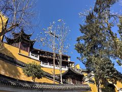 -观音山