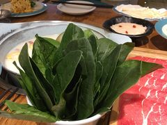 菠菜-青瓷火锅料理(西单大悦城店)