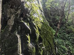 -白草畔自然风景区