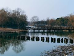 -梁鸿国家湿地公园